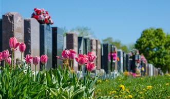 Cemetery : A Sanctuary For The Living
